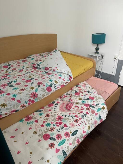 Patio Da Foz - Appartement Tres Accueillant Centre-Ville ฟิเกราดาฟอซ ภายนอก รูปภาพ